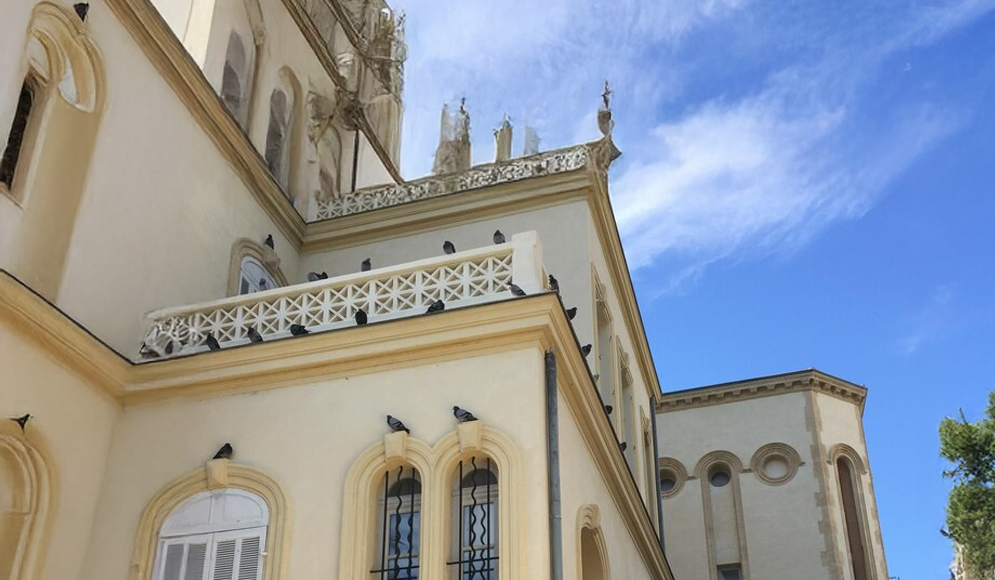 Sơn đá nasumi cover